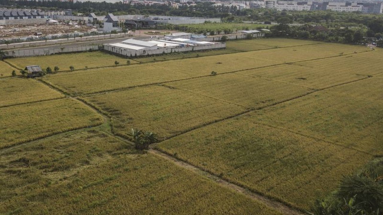 Diskusi para sesepuh HKTI Jawa Barat menyoroti pentingnya konsep Sawah Abadi demi menjamin ketersediaan lahan pertanian dan ketahanan pangan nasional di masa depan.