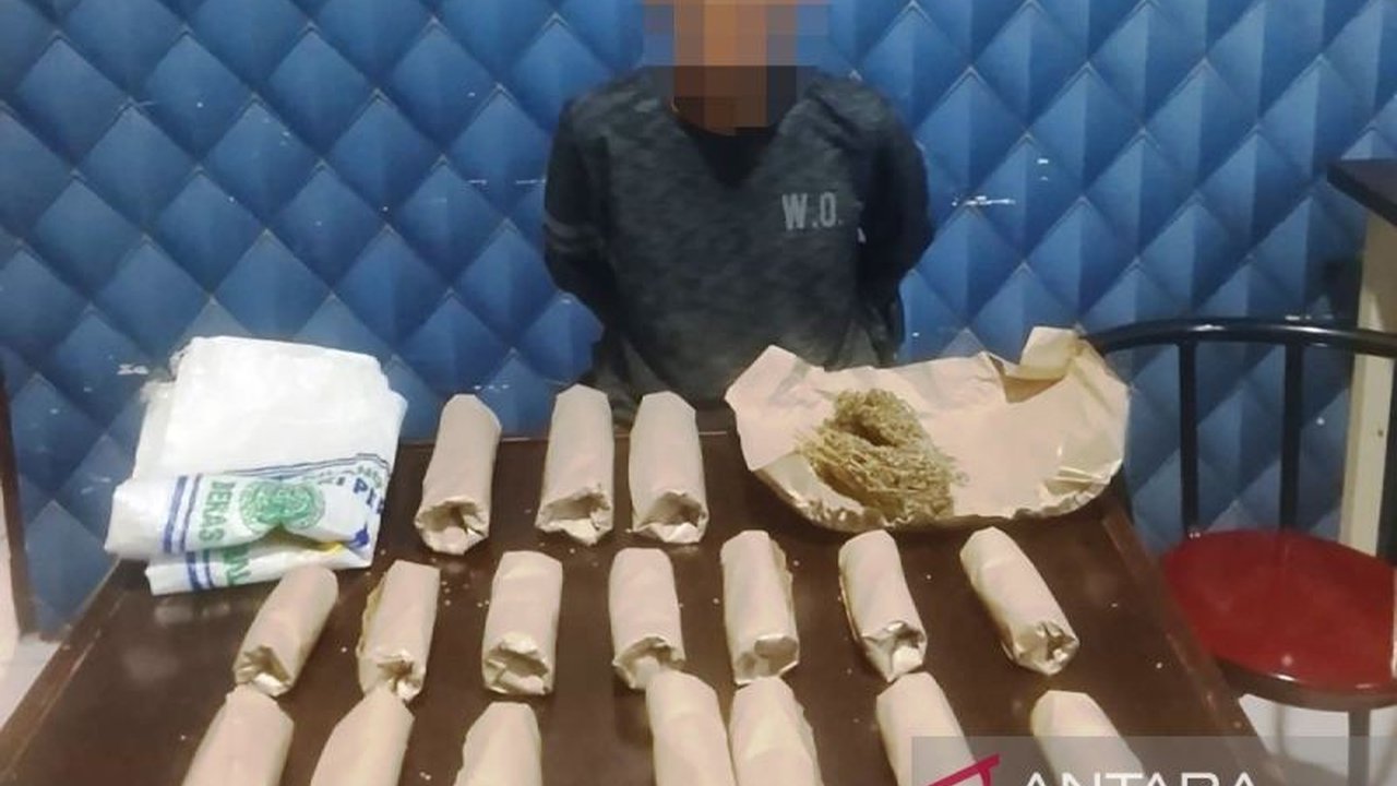 Polres Aceh Barat menangkap nelayan A, terduga pengedar ganja, dengan 751 gram ganja kering. Modus persembunyian narkotika di karung beras terungkap.