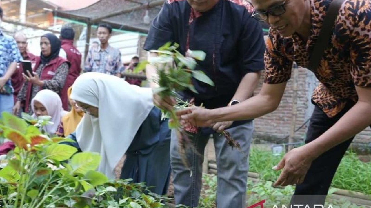 Wali Kota Makassar, Munafri Arifuddin, mendorong warganya untuk aktif dalam program urban farming guna memperkuat ketahanan pangan keluarga dan menciptakan sumber penghasilan tambahan.
