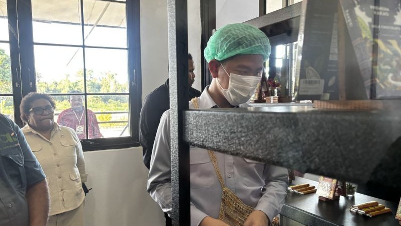 Wakil Presiden Gibran Rakabuming Raka melakukan kunjungan kerja ke Manokwari Selatan, meninjau sentra produksi kakao dan pabrik cokelat, serta berinteraksi langsung dengan petani lokal untuk mendorong ekonomi daerah.