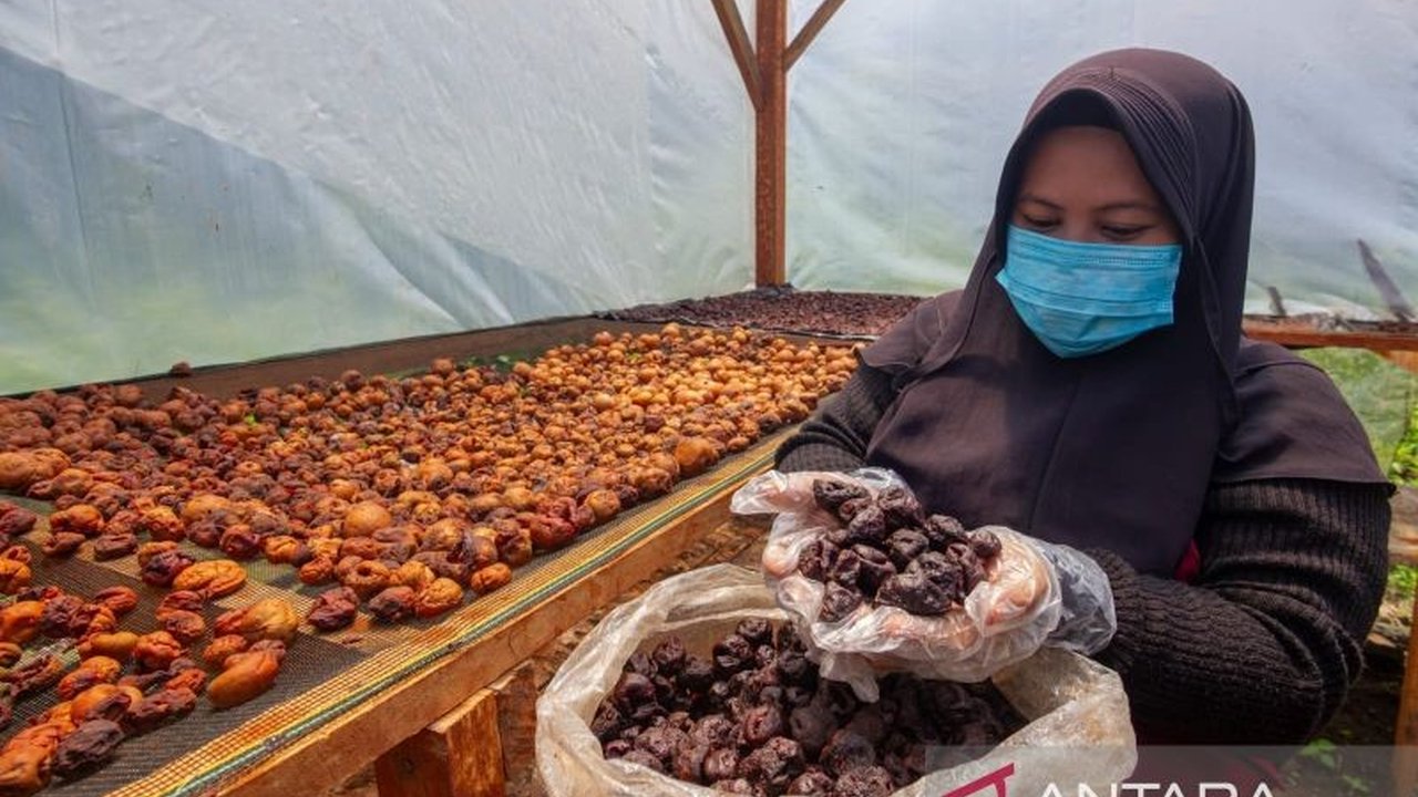 Universitas Andalas (UNAND) mengkaji sistem pertanian tradisional Minangkabau, 'parak', untuk dipadukan dengan konsep Pertanian Cerdas Iklim. Inovasi ini diharapkan menjadi solusi mitigasi perubahan iklim yang berkelanjutan di Sumatera Barat.