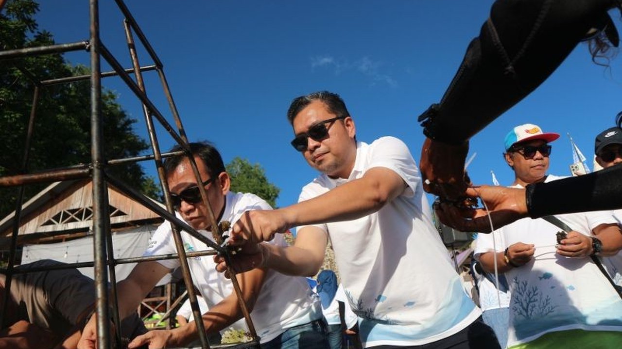 PT ASDP dan PNM Cabang Baubau sukses melakukan **penanaman terumbu karang Baubau** sebanyak 600 fragmen jenis Acropora di Pantai Lakeba. Upaya ini menjadi langkah krusial menjaga ekosistem laut dan memperkuat kolaborasi berbagai pihak.