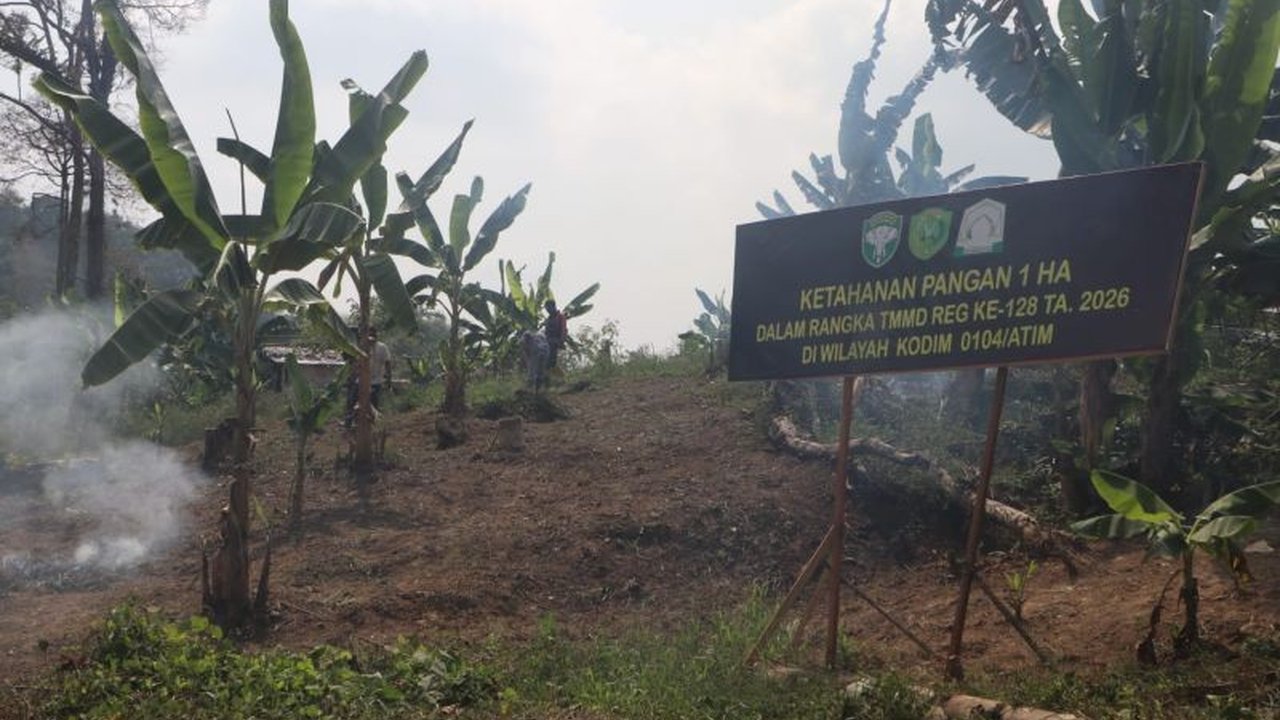 Kodam Iskandar Muda berkomitmen penuh mendukung program ketahanan pangan di Aceh. Melalui pelibatan personel TNI, termasuk Yonif TP dan Babinsa, upaya peningkatan produksi pertanian di Tanah Rencong terus digencarkan.