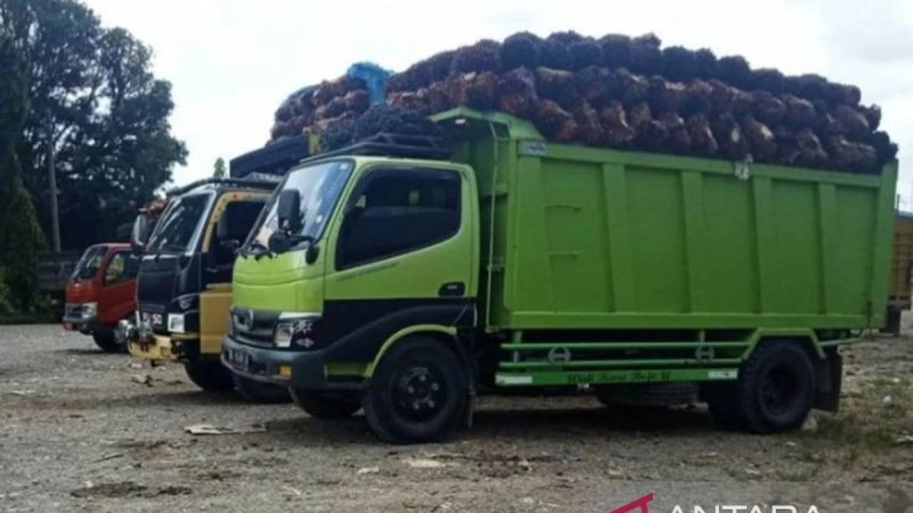 Pemerintah Kabupaten Aceh Barat mendesak seluruh Pabrik Kelapa Sawit (PKS) untuk mematuhi ketetapan harga pembelian Tandan Buah Segar (TBS) petani, mengingat masih banyak pabrik yang membeli di bawah standar yang ditetapkan, merugikan petani sawit di Aceh