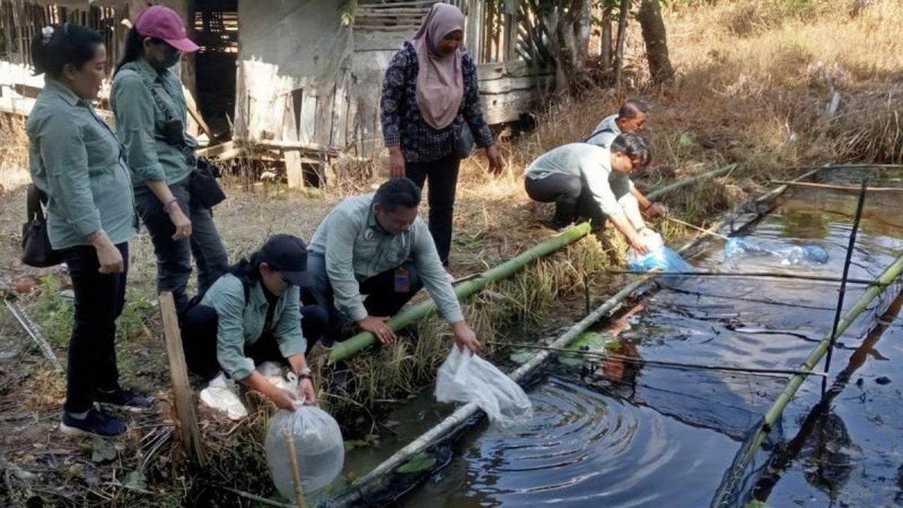 Pemerintah Kabupaten Gunung Mas meluncurkan Program Kapakat di Desa Karya Bhakti, Rungan, sebagai inisiatif ketahanan pangan keluarga terpadu yang memberdayakan masyarakat. Program ini diharapkan mampu meningkatkan kemandirian pangan dan ekonomi lokal.