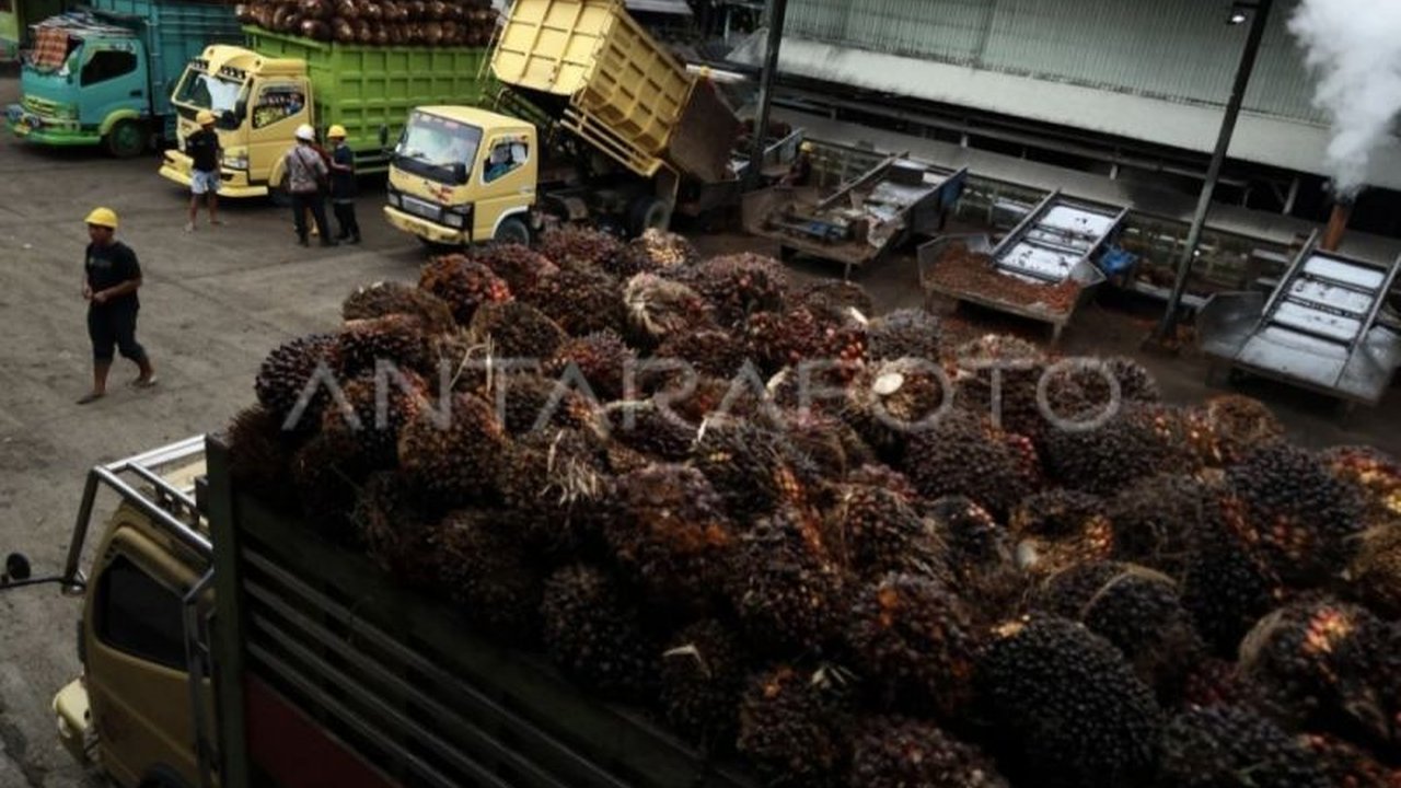 Gabungan Pengusaha Kelapa Sawit Indonesia (Gapki) menekankan pentingnya penguatan penegakan hukum dalam pengawasan ekspor sawit untuk mengatasi praktik *under invoicing* yang merugikan penerimaan negara.