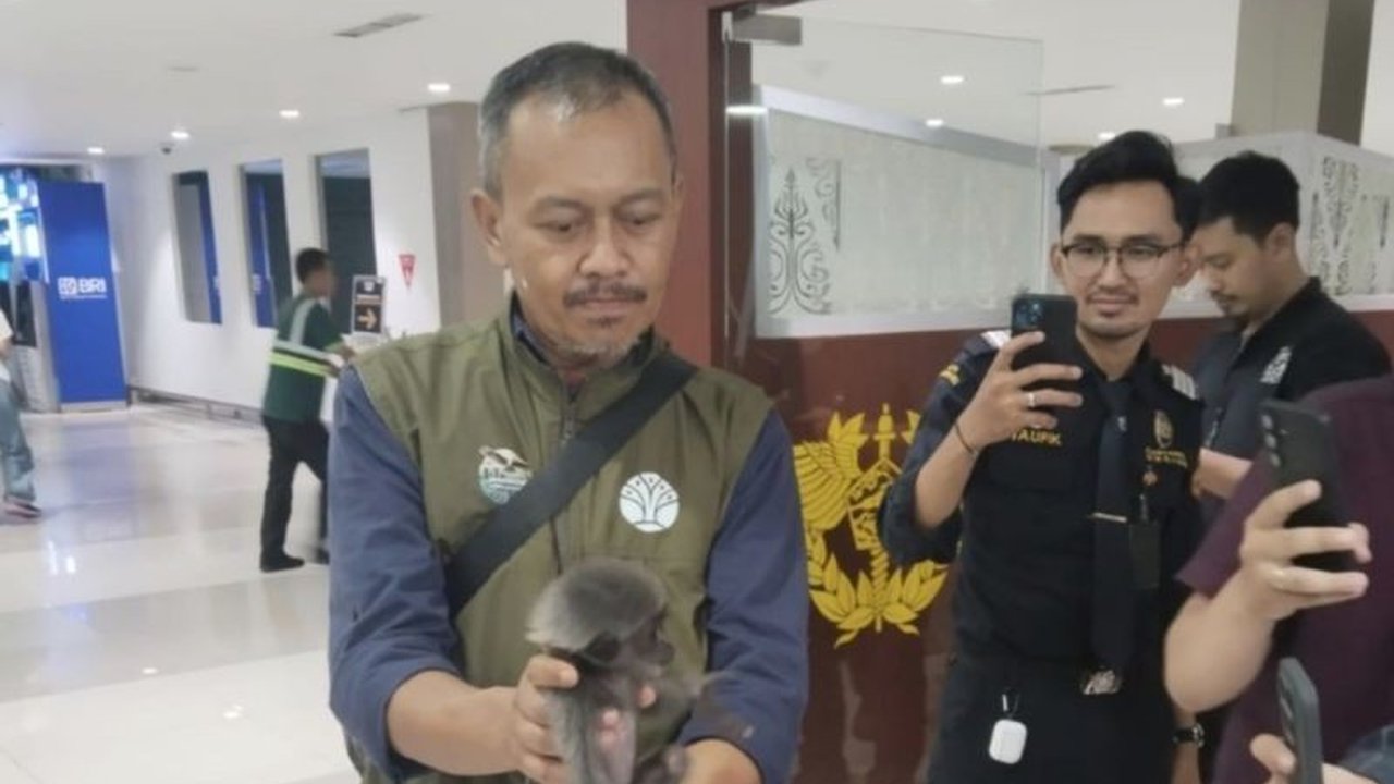 Kementerian Kehutanan bersama otoritas Bandara Soekarno-Hatta berhasil menggagalkan upaya penyelundupan satwa liar endemik Indonesia, termasuk Owa Jawa, ke Oman, menegaskan komitmen dalam memberantas Penyelundupan Satwa Liar.