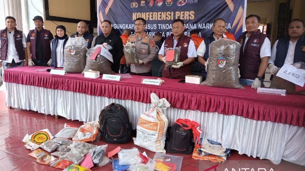 Diresnarkoba Polda Papua berhasil mengamankan 38 kilogram ganja serta ratusan pohon ganja dan narkotika lain selama semester I, mengungkap jaringan penyelundupan dari PNG.