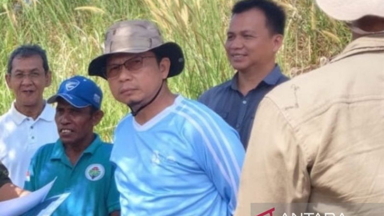 Pemerintah Kabupaten Bangka Tengah gencar melakukan optimalisasi lahan kritis menjadi kawasan pertanian produktif, bertujuan meningkatkan produksi pangan dan memulihkan ekonomi masyarakat.