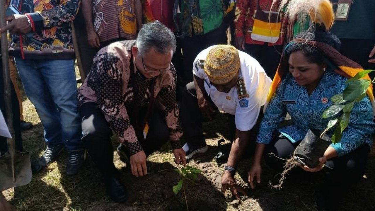 Kementerian UMKM Dorong Pengembangan UMKM Kopi Jayawijaya di Papua Pegunungan