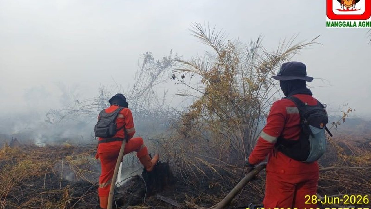 Tim Manggala Agni berhasil memadamkan kebakaran hutan dan lahan (karhutla) seluas 5 hektare di Indragiri Hulu, Riau. Upaya pemadaman karhutla ini melibatkan puluhan personel dan bantuan helikopter waterbombing.