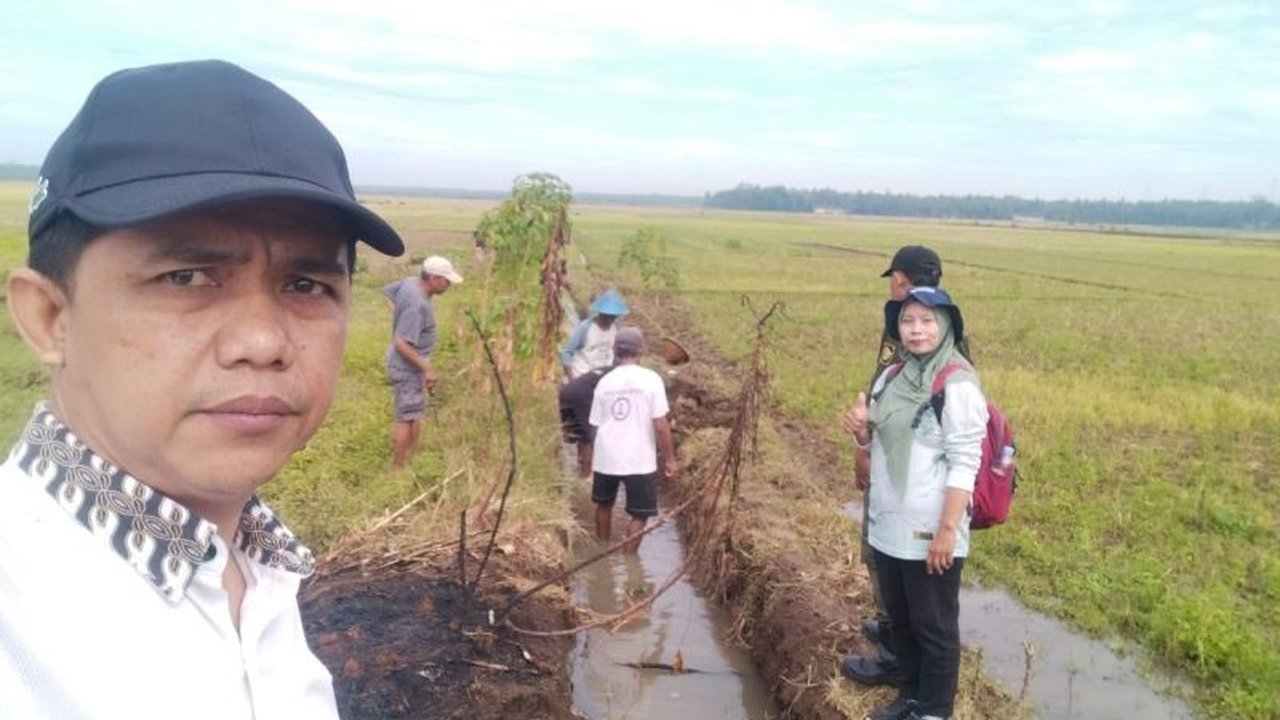 Dinas Pertanian dan Pangan Kulon Progo meningkatkan kewaspadaan terhadap potensi kemarau panjang serta serangan hama wereng, menyiapkan strategi mitigasi komprehensif demi menjaga ketahanan pangan daerah.