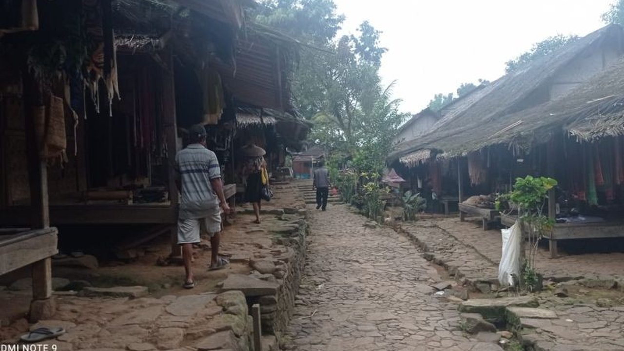 Petani Badui di Kabupaten Lebak menghadapi kerugian besar hingga puluhan juta rupiah akibat serangan kawanan babi hutan dan monyet yang merusak lahan pertanian mereka.