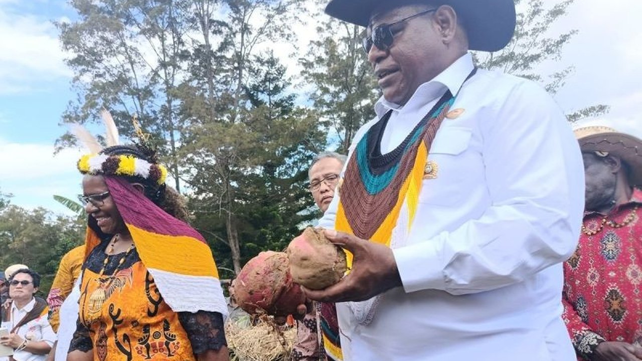 Pemkab Jayawijaya Dorong Budi Daya Pangan Lokal, Perkuat Ketahanan Pangan Jayawijaya dan Ekonomi Masyarakat