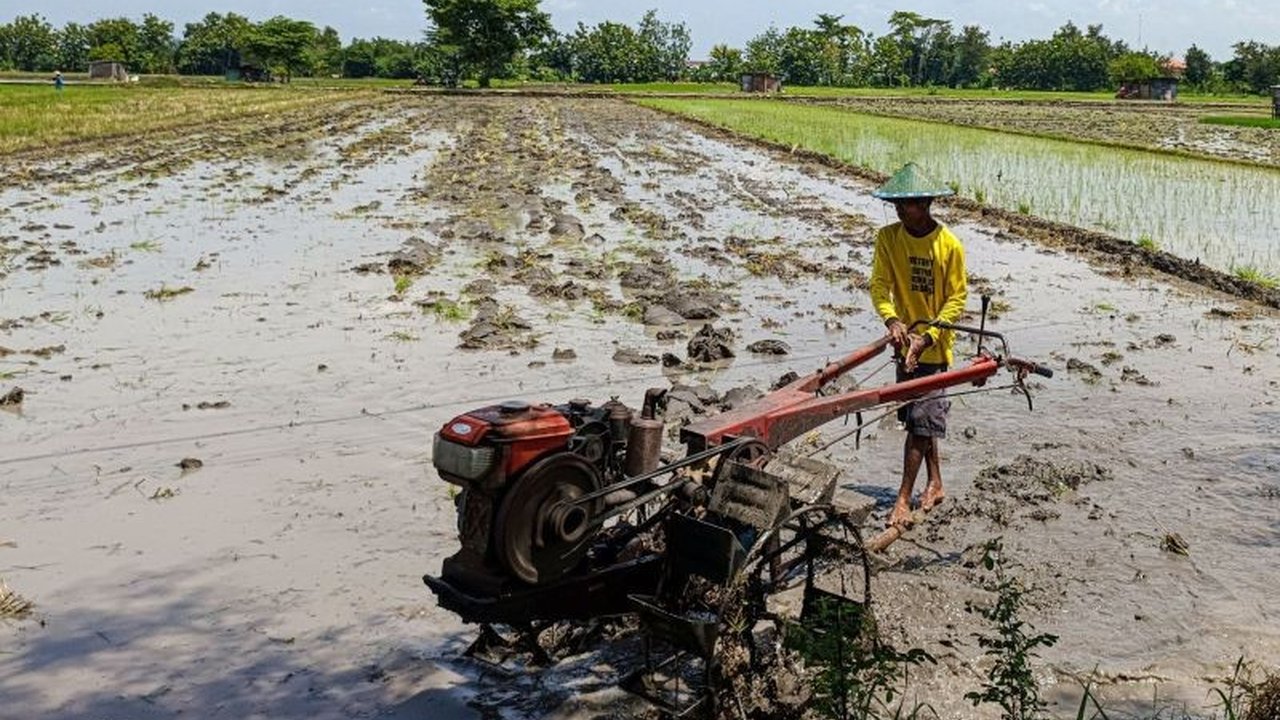 DKPP Kota Madiun Perkuat Mitigasi Kemarau, Antisipasi Gagal Panen Akibat El Nino