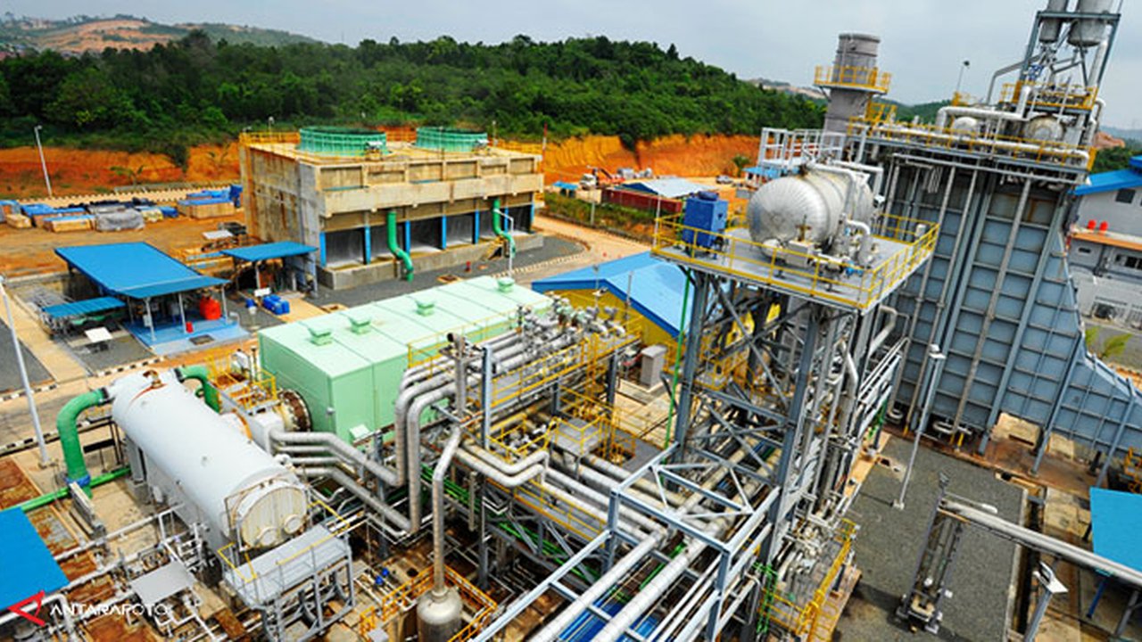 Bioenergi Kini Jadi Instrumen Penting untuk Tekan Emisi Pembangkit Listrik