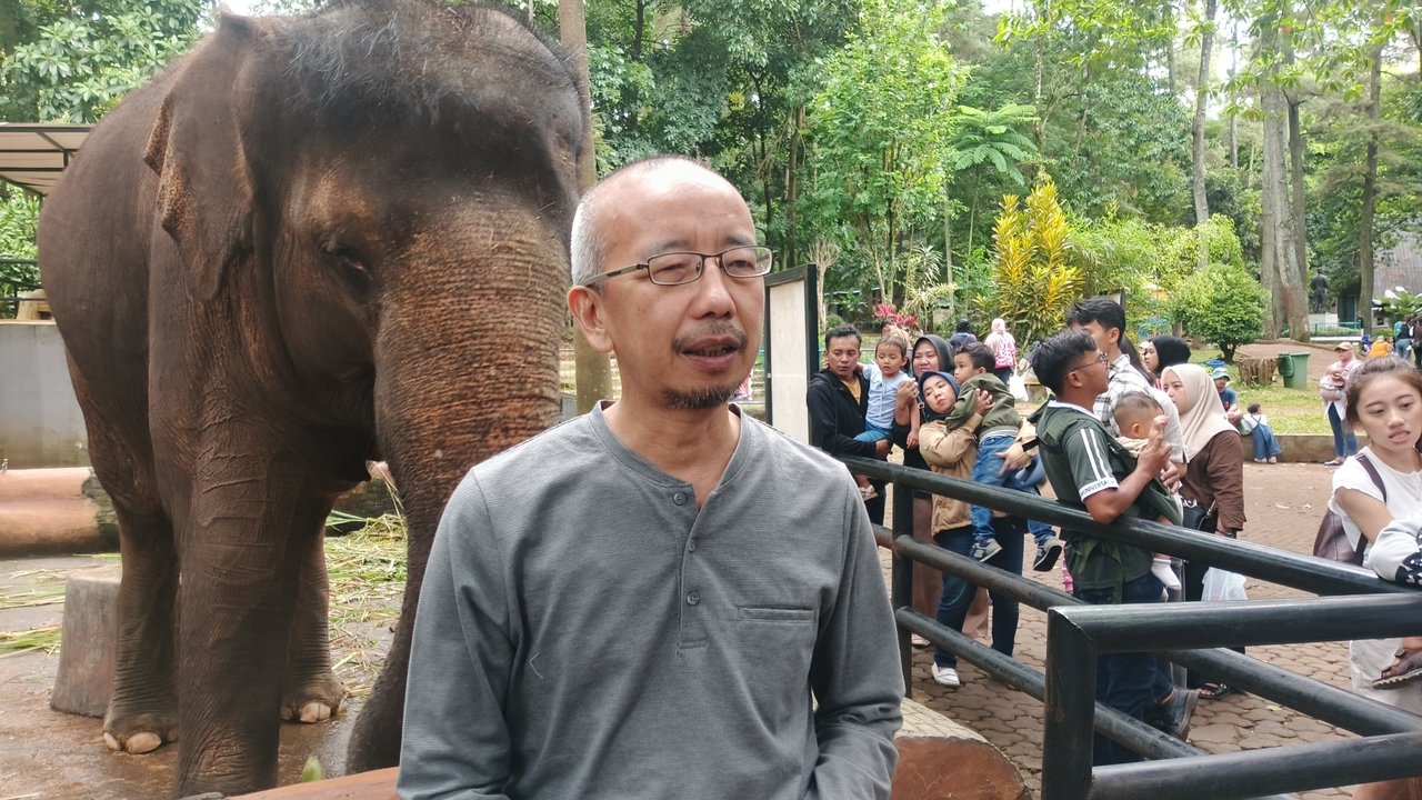 Masa Depan Bandung Zoo, Begini Tanggapan Karyawan dan Pengunjung
