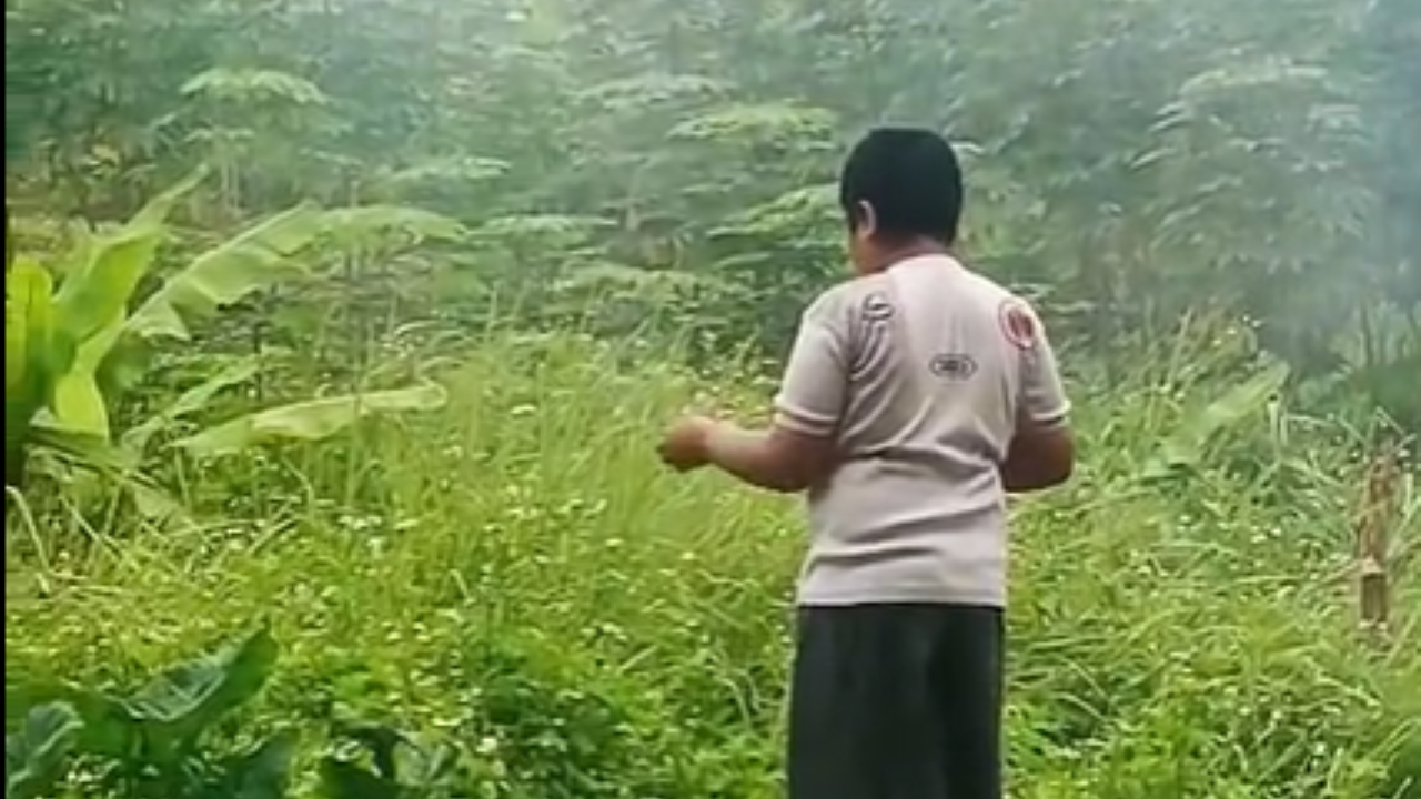 Heboh Bocah di Kabupaten Bandung Barat Hobi Makan Daun dan Rumput