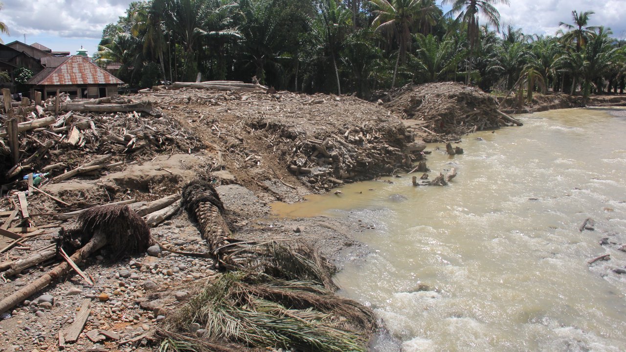 Ketika Hutan Tak Lagi Menahan Air: Menilik Jejak Deforestasi di Balik Cuaca Ekstrem Sumatra Utara