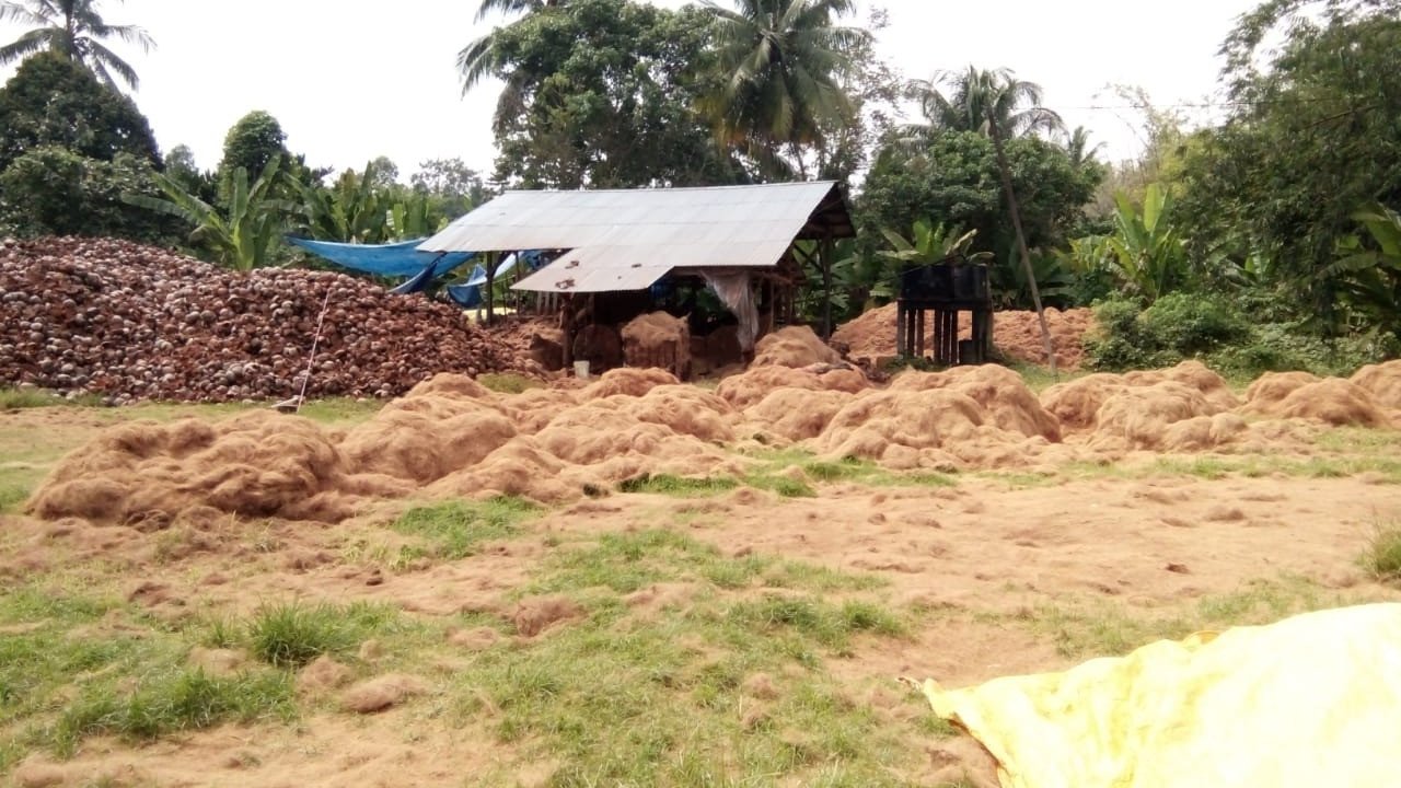 Dukung Pengurangan Energi Fosil, PLN EPI Kembangkan Bio-CNG Berbasis Limbah Kelapa Sawit