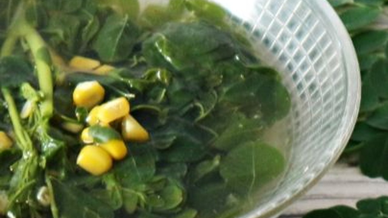 Manfaat Daun Kelor untuk Kesehatan dan Cara Mengolahnya Menjadi Sayur Bening