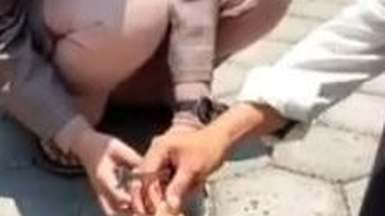 Cuaca Panas Ekstrem Landa Jateng, Warga Pati Goreng Telur dengan Tenaga Sinar Matahari