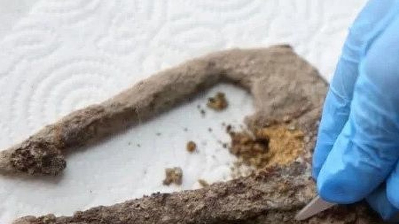 Trisula Berusia 1.700 Tahun Ditemukan di Kota Kuno, Ternyata Fungsinya Bukan Senjata
