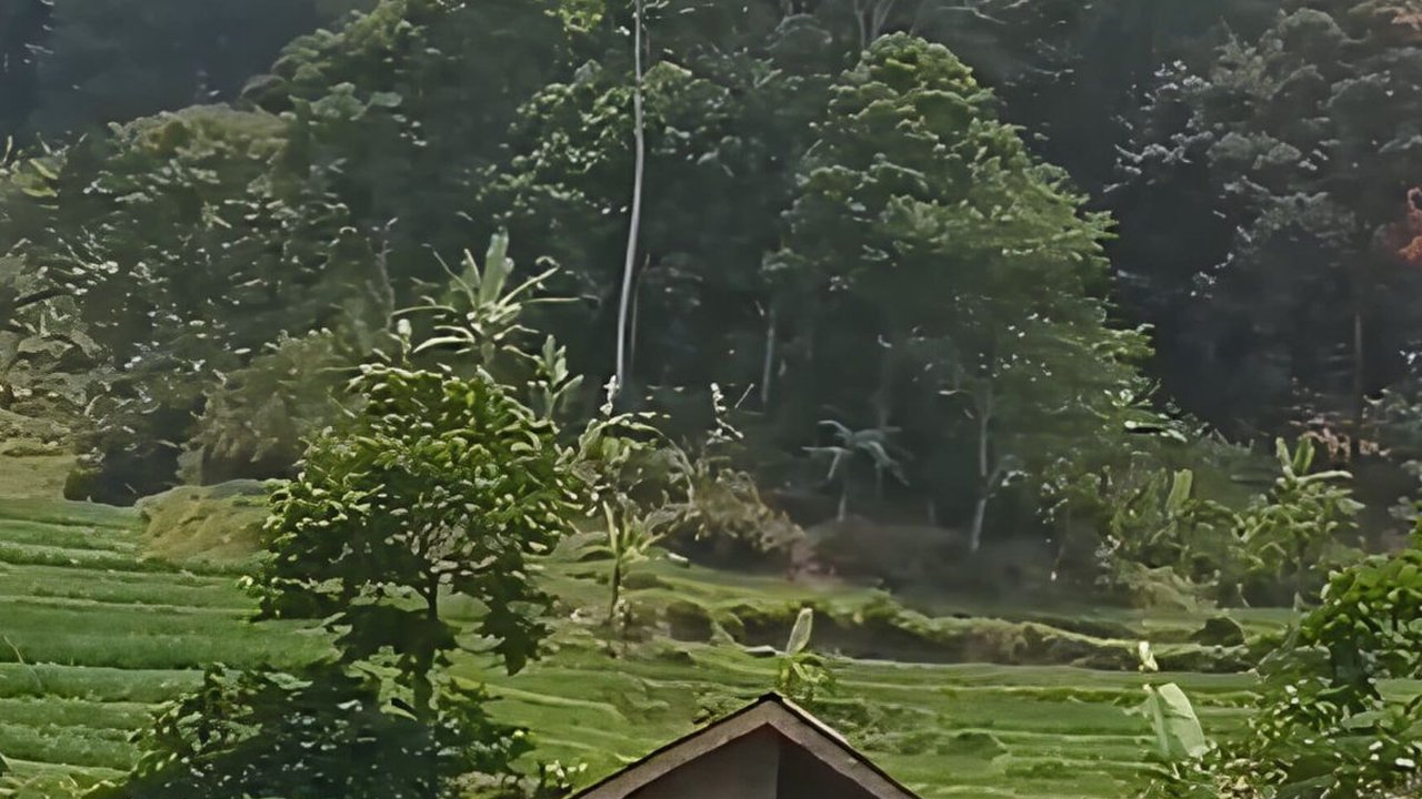 Kemarau Melanda, Desa di Cianjur Ini Tetap Punya Pemandangan Mengagumkan Bak di Eropa