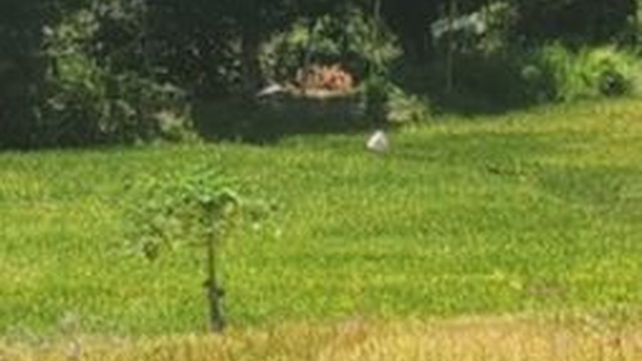 Antisipasi Dampak El Nino, Ditjen PSP Kementan Kembangkan Optimasi Lahan Kering