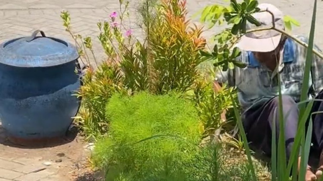 Aksi Kakek Semangat Cari Kerja demi Belikan Hadiah untuk Cucunya Ini Viral, Bikin Haru