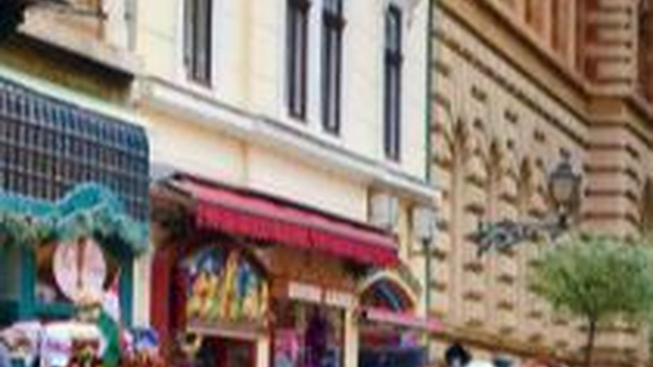 Pengalaman Mahasiswa RI di Hungaria, Biaya Hidup Murah dan Makanan Mirip di Indonesia