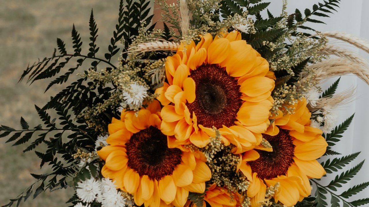 49 Ucapan Ulang Tahun Pernikahan, Romantis dan Penuh Harapan Baik