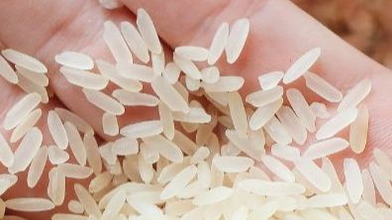 Produksi Beras Nasional Tahun Ini Anjlok 2 Persen Gara-Gara El Nino