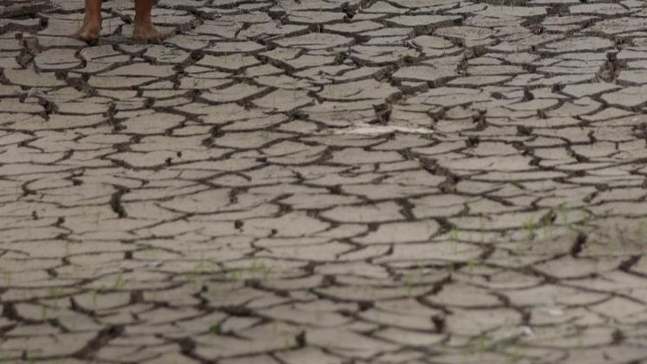 FOTO: Penampakan Sungai Amazon Kering Kerontang, Paling Parah Sejak 121 Tahun Terakhir