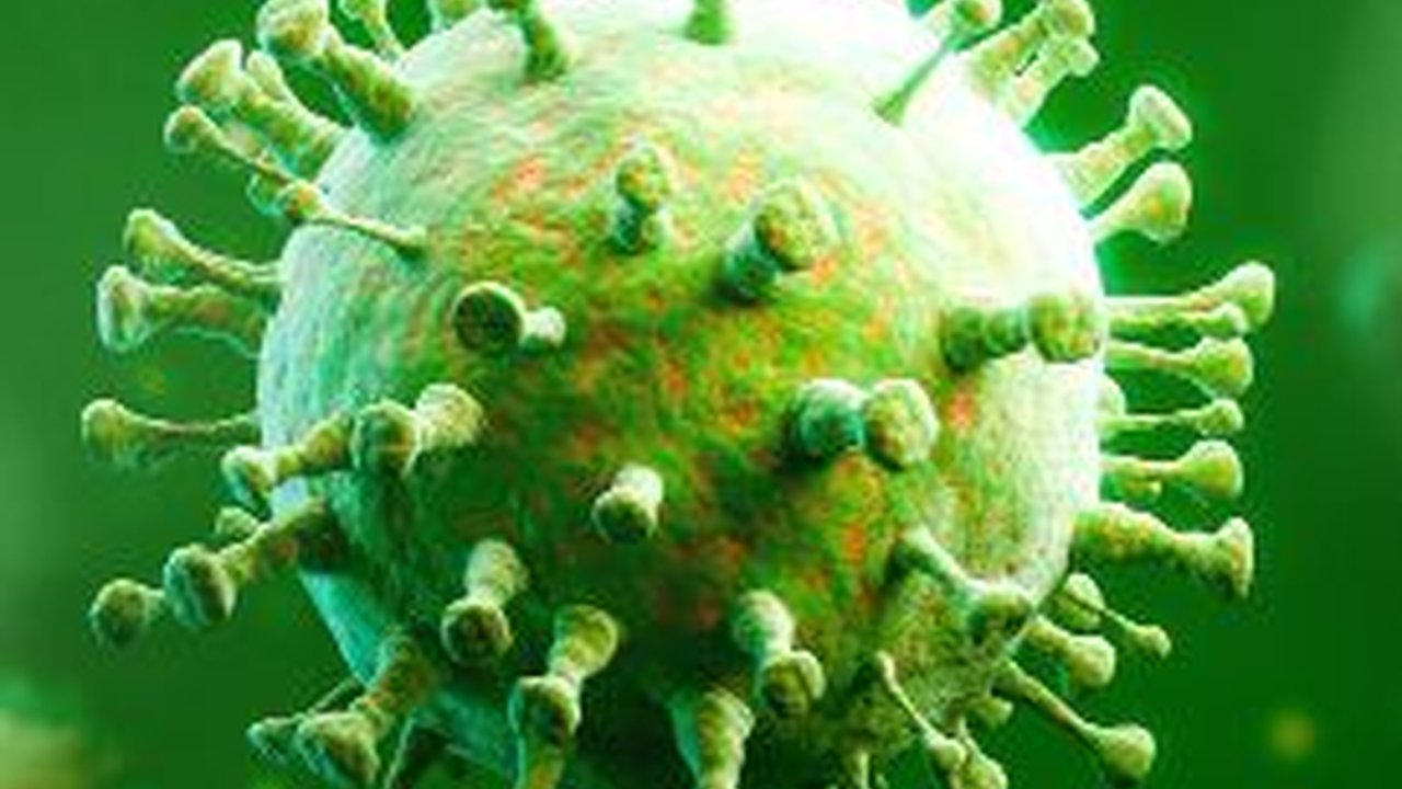 Macam-macam Virus dan Penyakitnya bagi Tubuh Manusia, dari Ringan sampai Mematikan