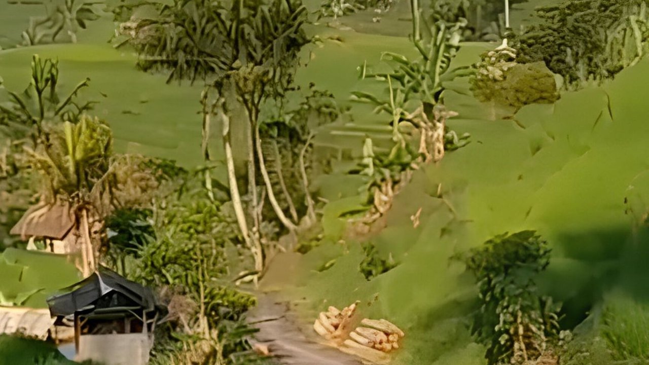 Disebut Mirip Eropa, Desa di Ciamis Ini Punya Jalan Indah yang Membelah Terasering Sawah