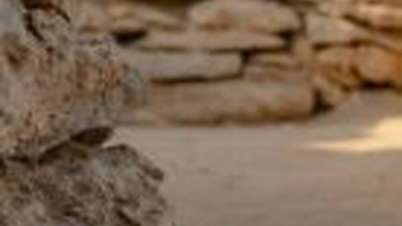 Arkeolog Temukan Bangunan Pertama di Abu Dhabi Berusia 8.500 Tahun, Begini Bentuknya