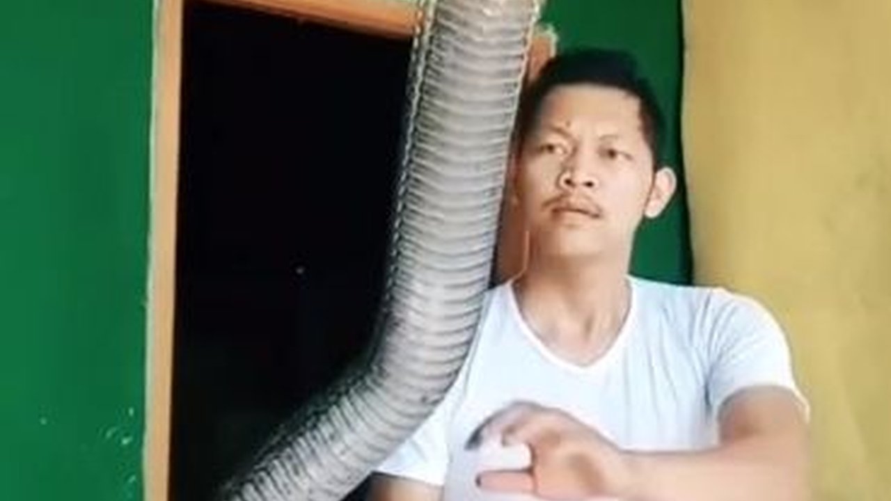 Ngeri, 43 Ekor Ular Menyebar di Permukiman Warga Bekasi Terbanyak Sanca dan Kobra