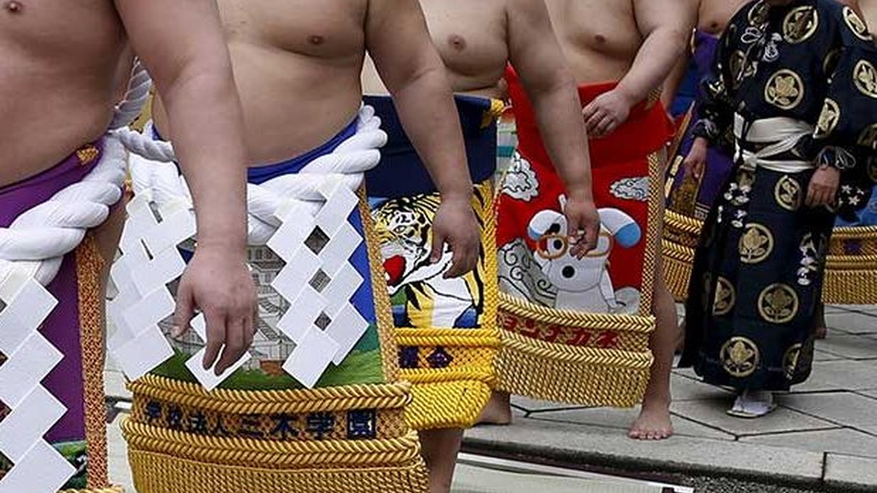 Kelebihan Beban, Japan Airlines Tambah Penerbangan Buat Angkut 27 Pesumo