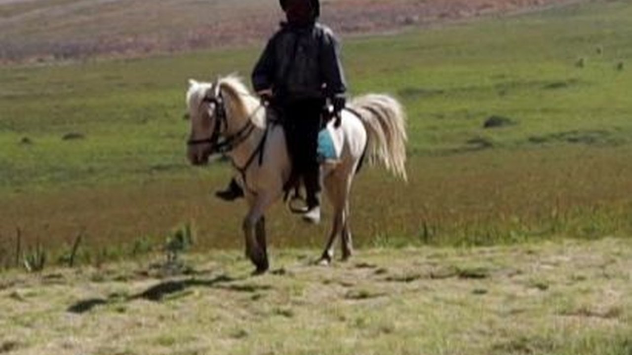 Savana Gunung Bromo Mulai Hijau Kembali, Kunjungan Wisatawan Belum Pulih