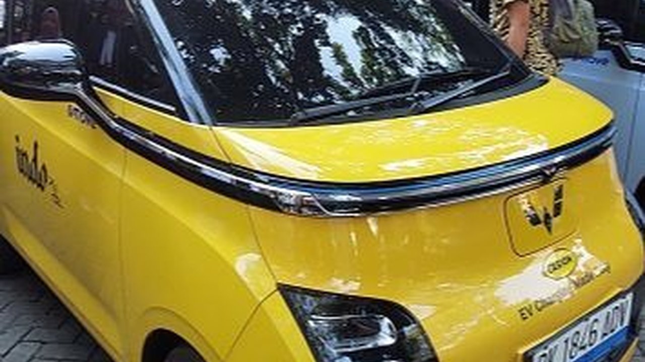 DEN Minta Indonesia Tak Buru-Buru Kampanyekan Mobil Listrik Skala Besar