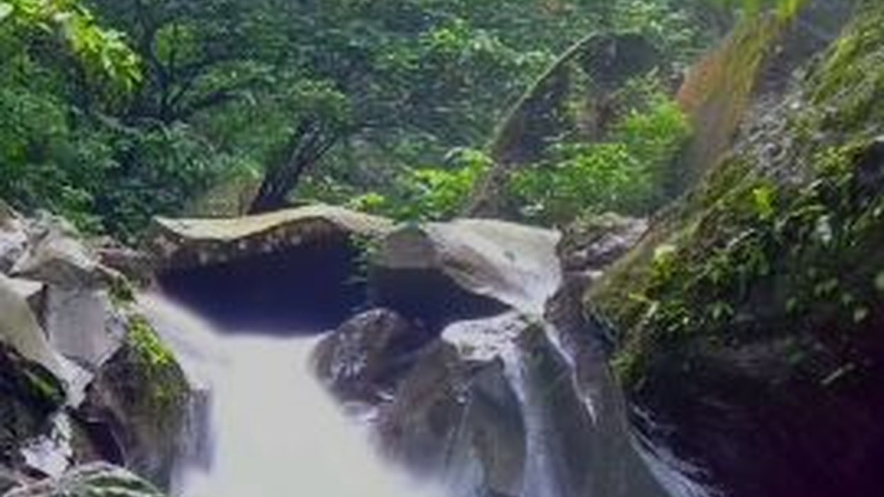 Sosok Ini Tinggalkan Kemewahan Hidup Pilih Bertapa di Hutan, Begini Kisah di Balik Keindahan Air Terjun Kakek Bodo Pasuruan