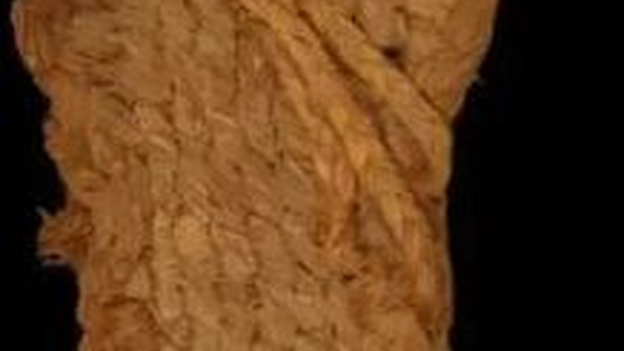 Sandal Tertua di Eropa Ditemukan Dalam Gua, Terbuat dari Anyaman
