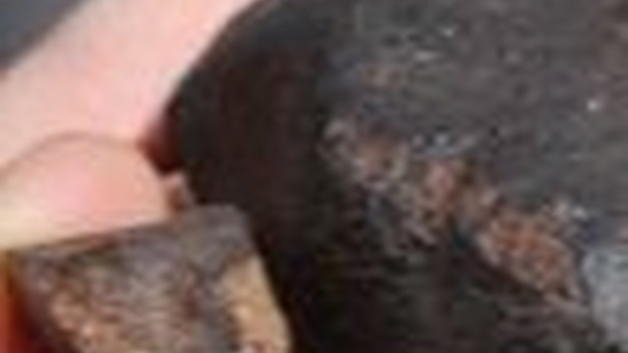 Sedang Berladang, Seorang Petani Temukan Dua Batu Meteor Berusia 4.567 Miliar Tahun