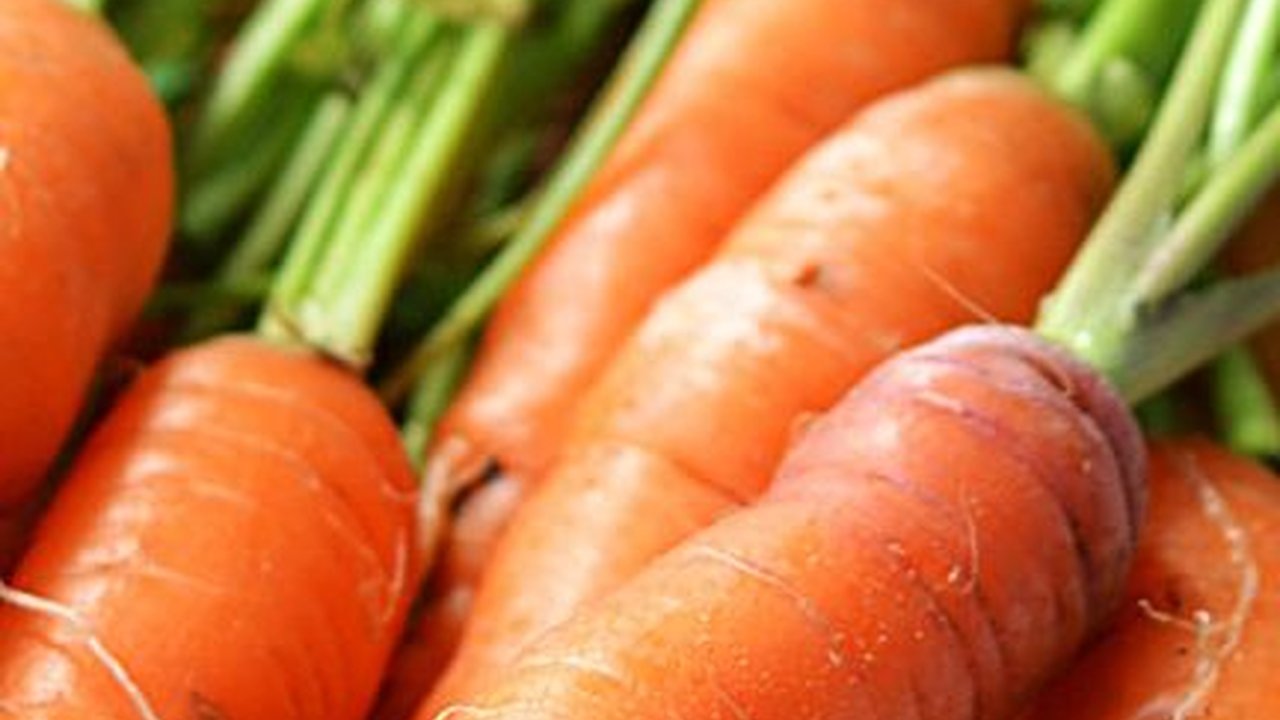 Wortel Bisa Pertajam Penglihatan Hanya Mitos Belaka, Ada Kaitannya dengan Propaganda Perang, Begini Sejarahnya