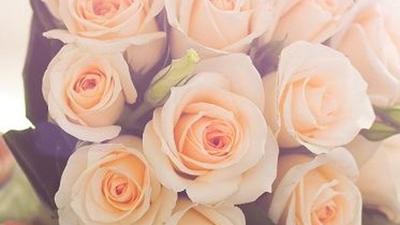 30 Kata-kata Ulang Tahun Pernikahan Bahasa Inggris & Artinya, Romantis Bikin Hubungan Semakin Harmonis