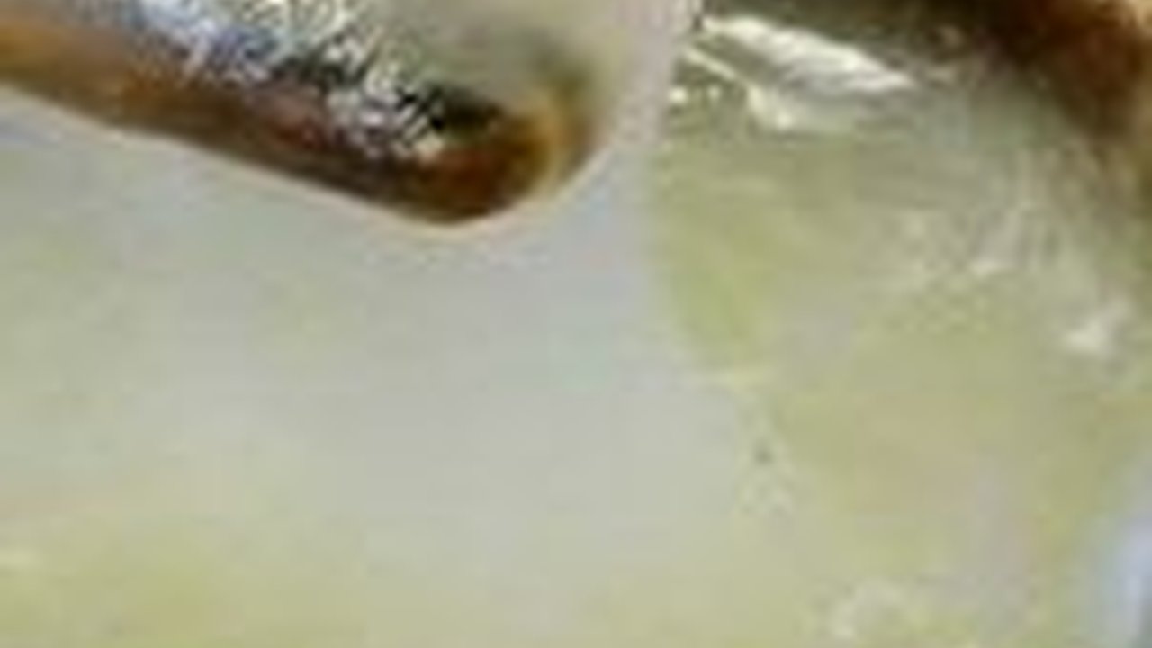 5 Resep Papeda yang Enak dan Praktis, Dijamin Bikin Nagih