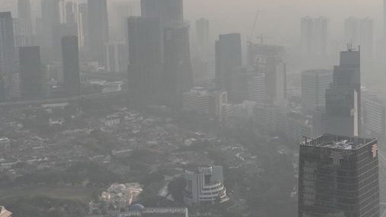 1.000 Pohon Mangrove Ditanam untuk Menangkal Polusi di Jakarta
