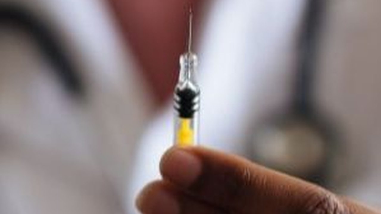 Kasus Kematian Akibat Rabies Meningkat Usai Lockdown Covid-19 Dihentikan