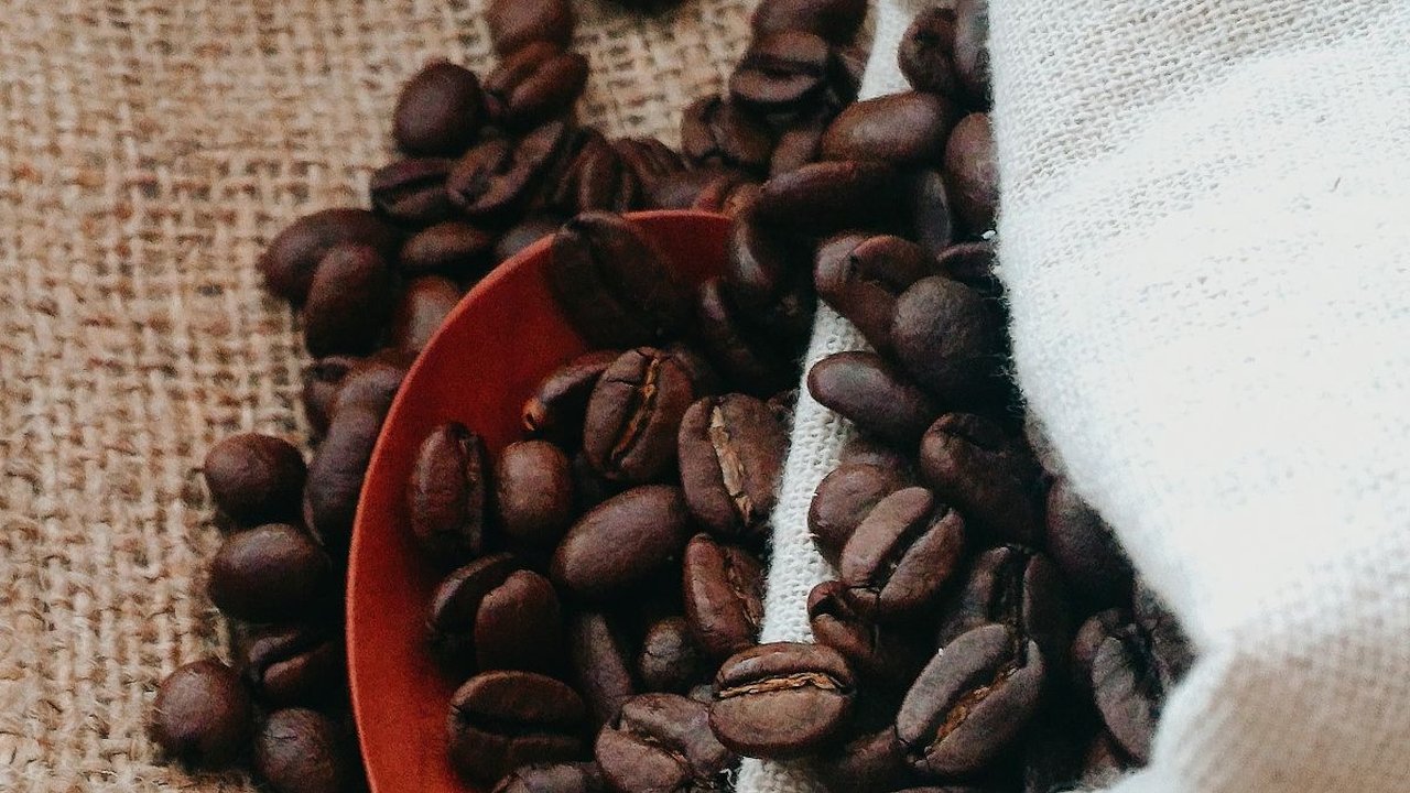 Perbedaan Robusta dan Arabika dan Karakteristiknya, Pencinta Kopi Wajib Tahu